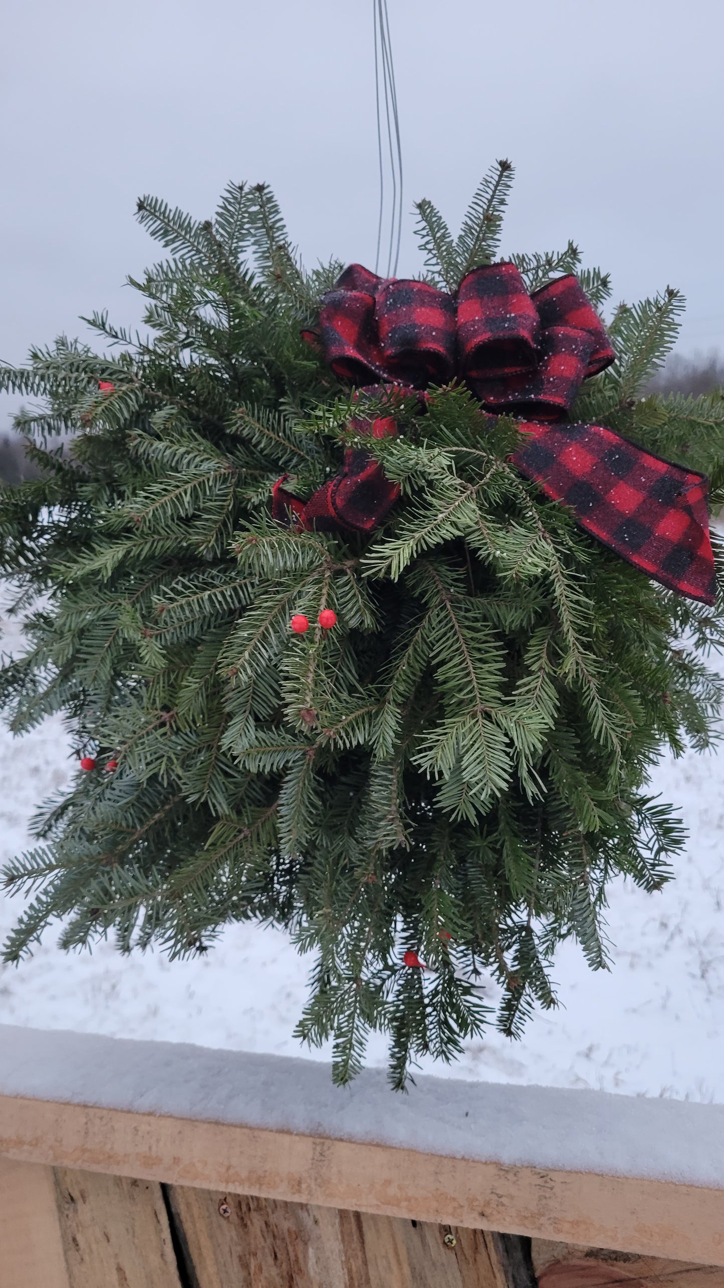 Evergreen Kissing Ball