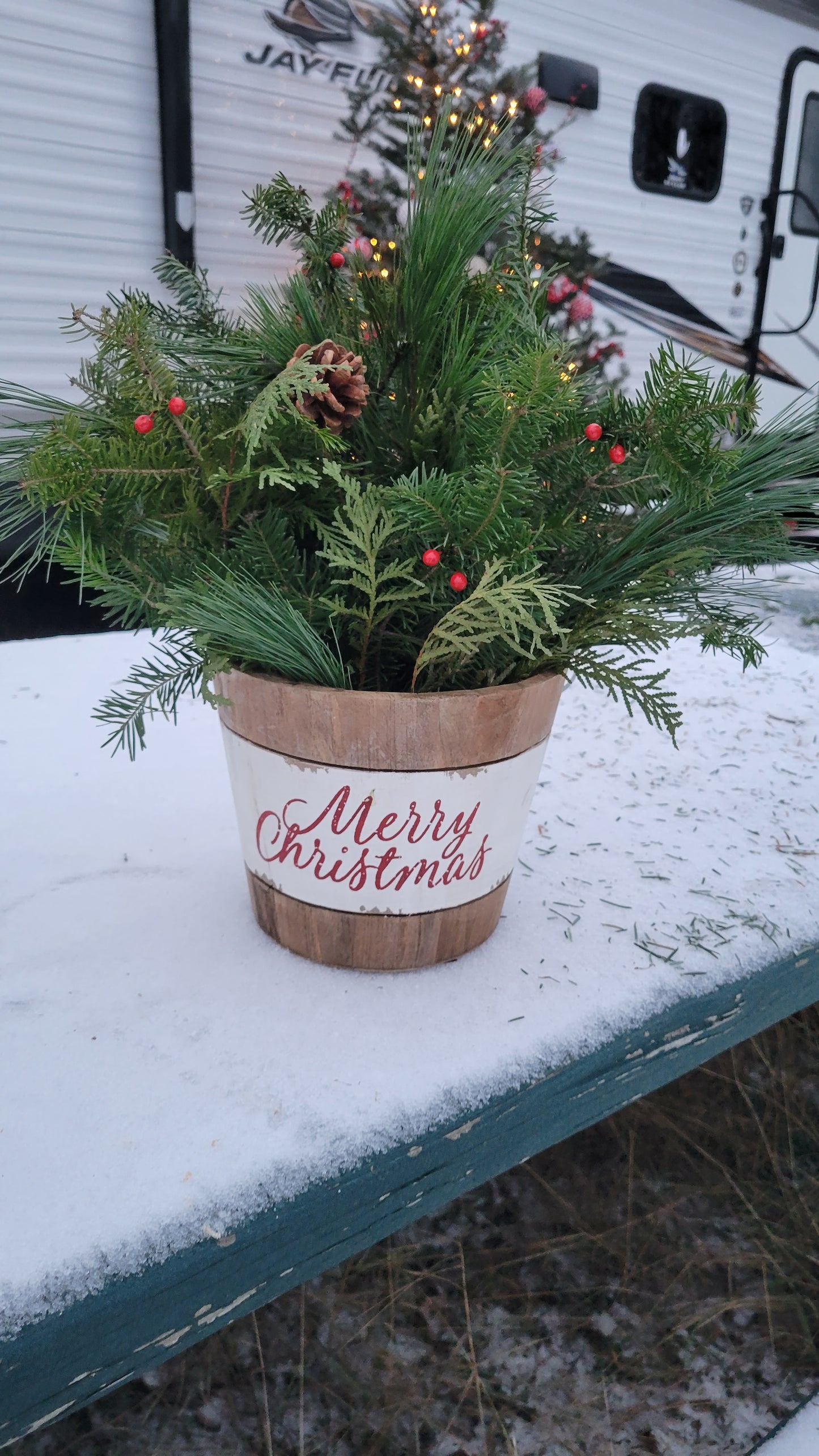 Tabletop Evergreen Christmas Planter