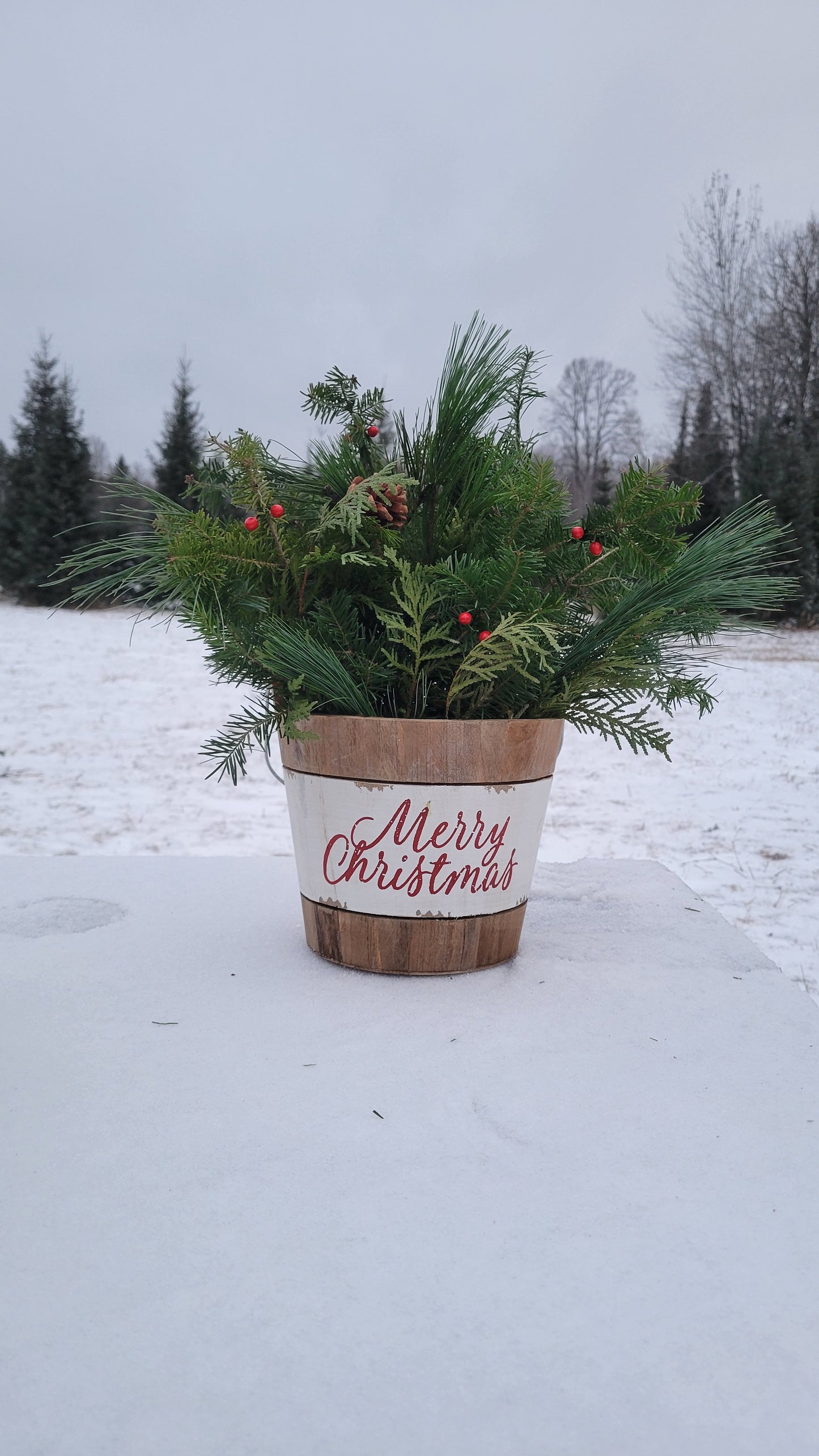 Tabletop Evergreen Christmas Planter