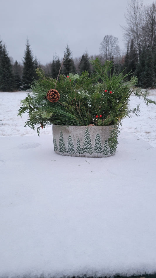 Tabletop Evergreen Christmas Planter