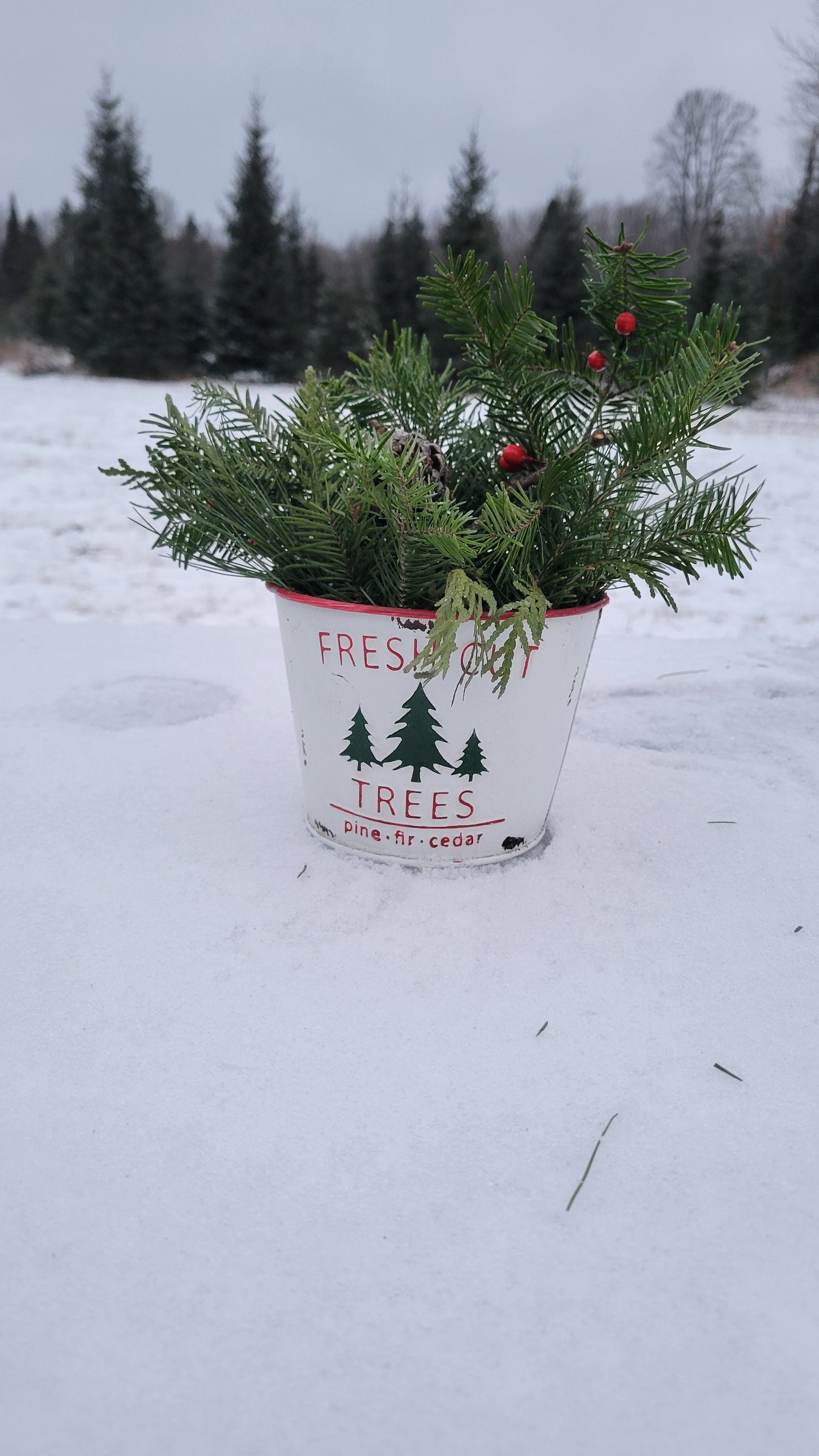 Tabletop Evergreen Christmas Planter