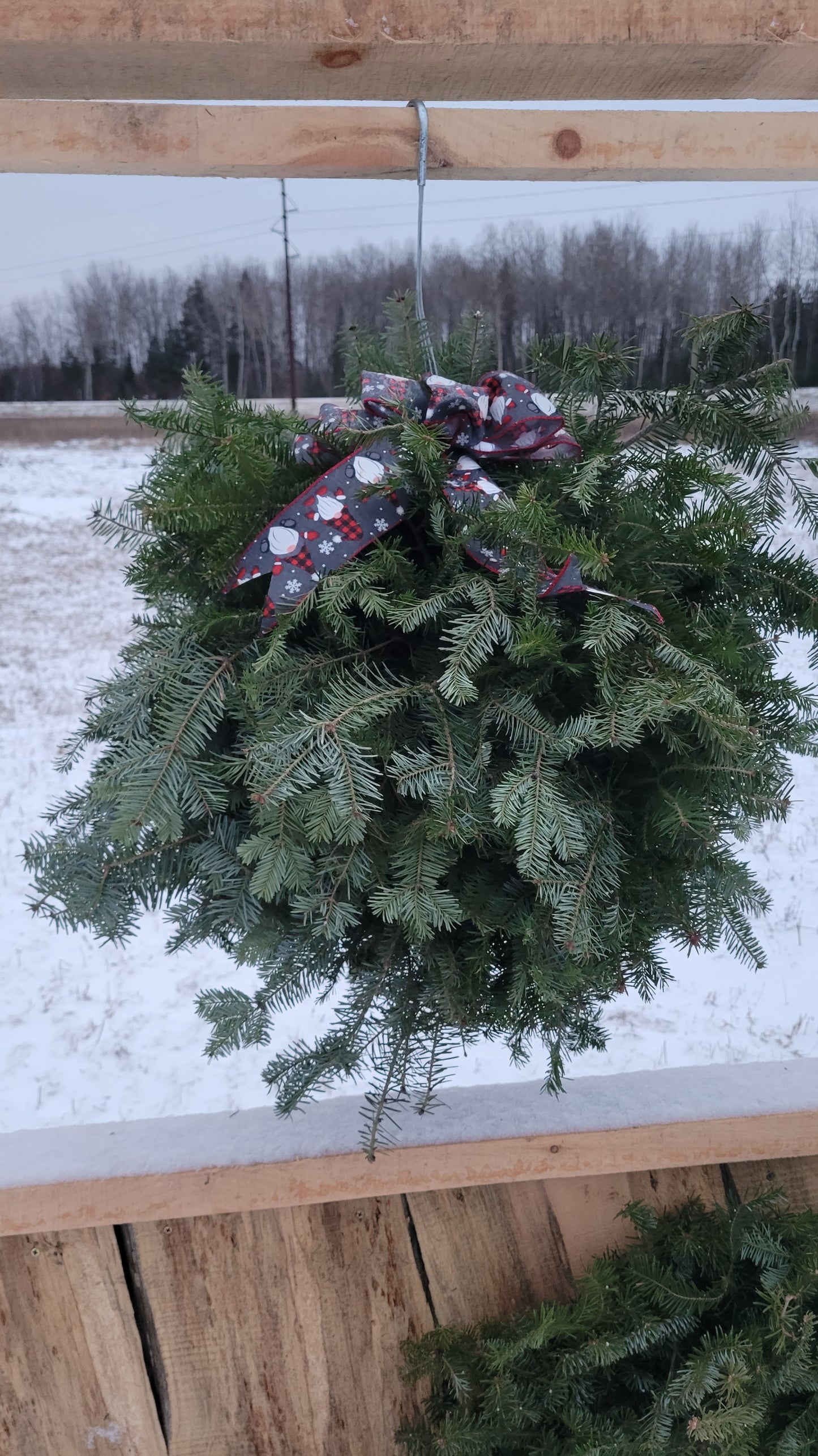 Evergreen Kissing Ball