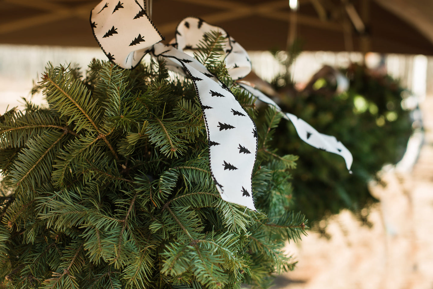 Evergreen Kissing Ball