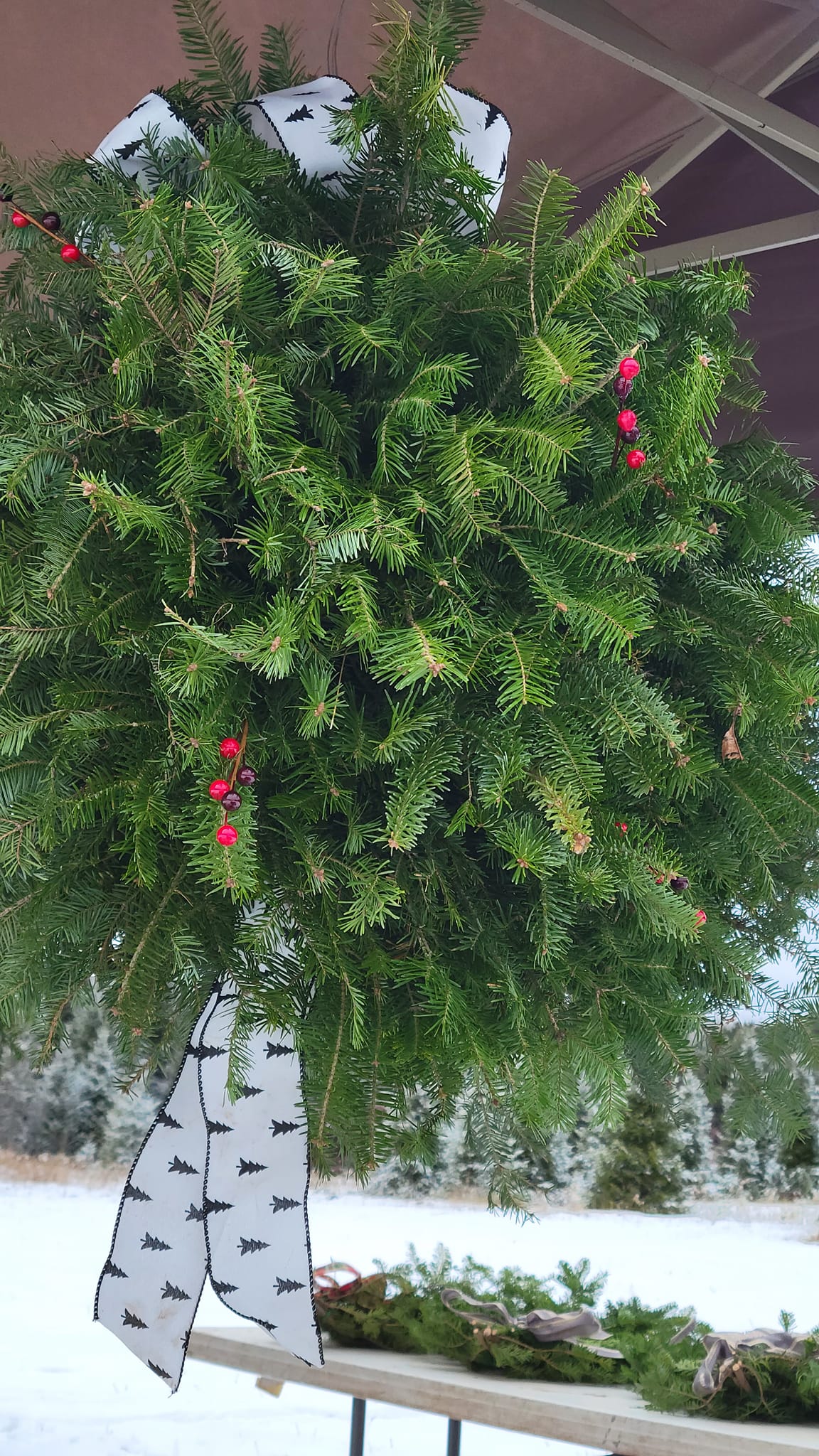 Evergreen Kissing Ball